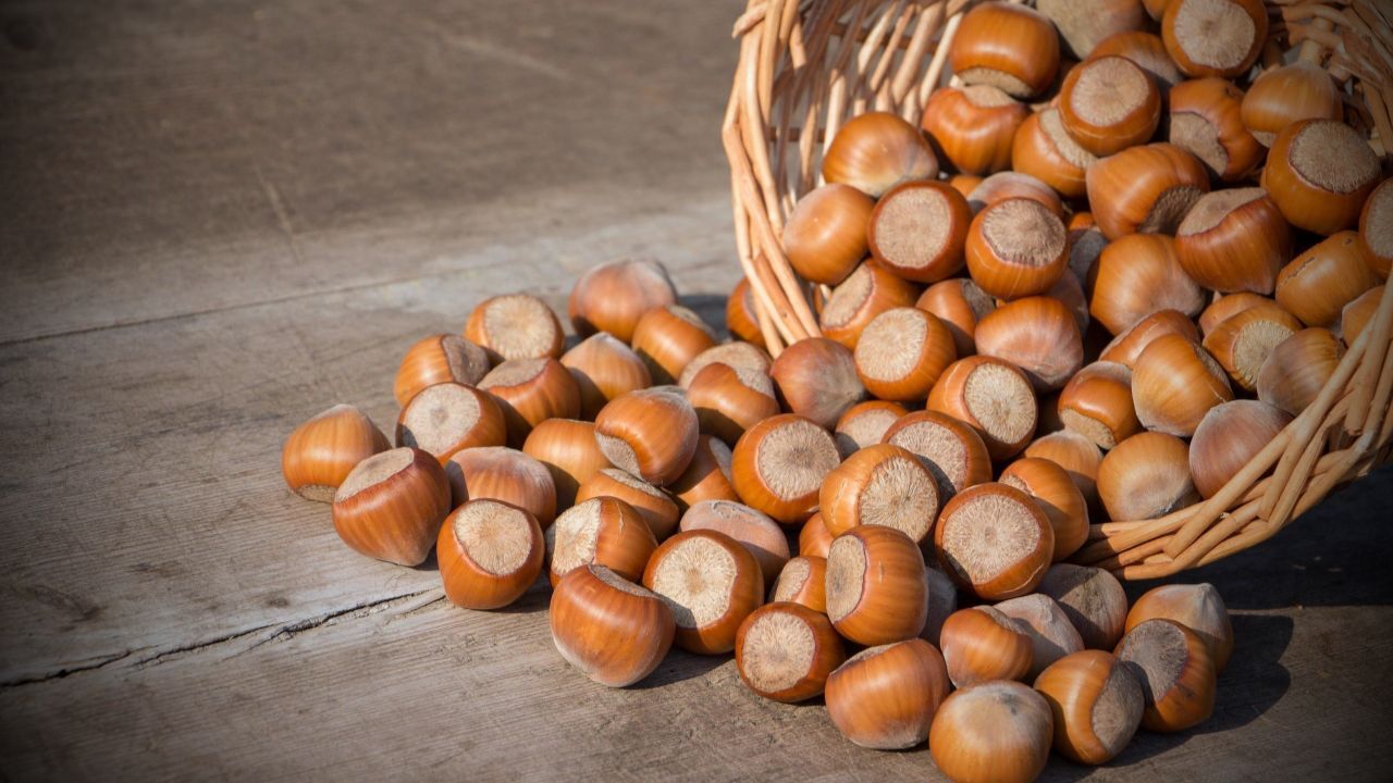 آجیلی که لاغرتان می‌کند