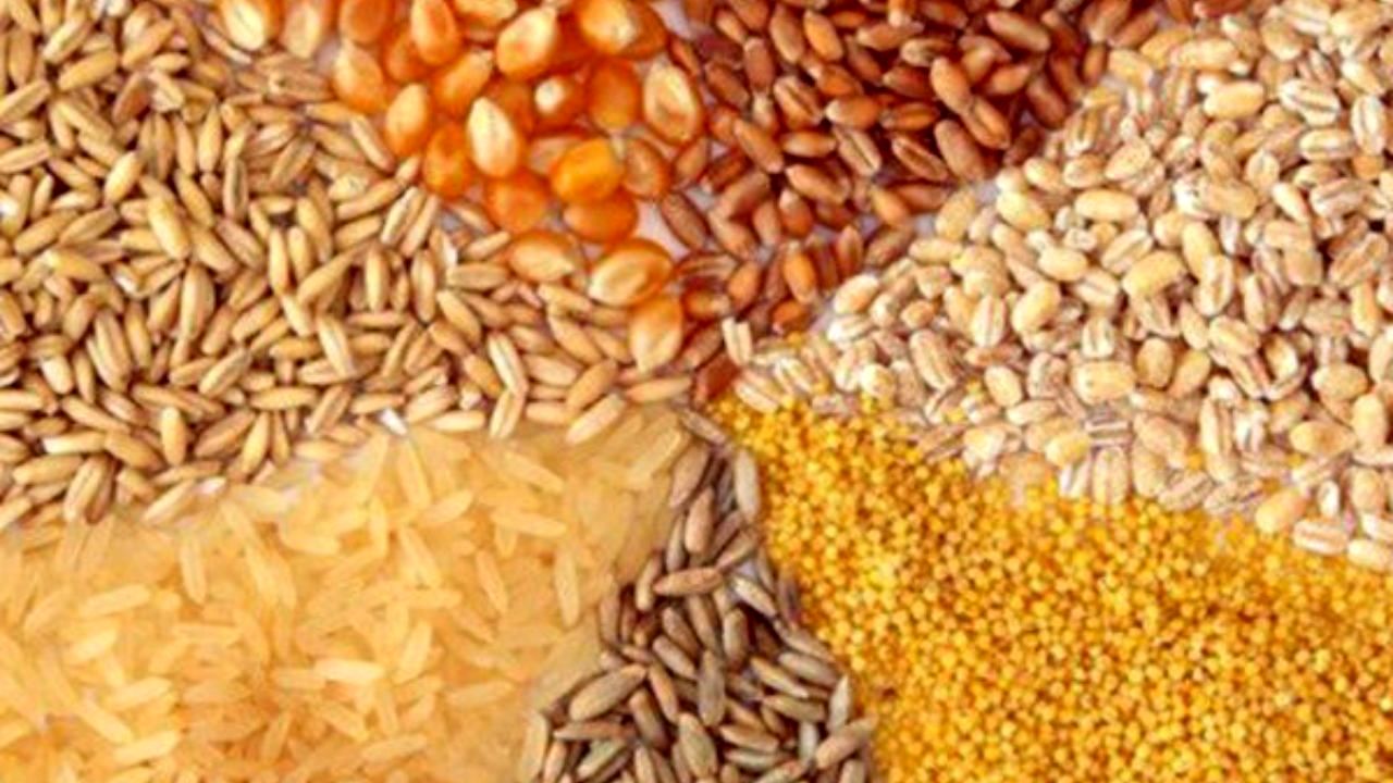 ابطال معاملات فروش جو توسط شرکت‌های تامین کننده از پایان اسفند+تصویر مصوبه