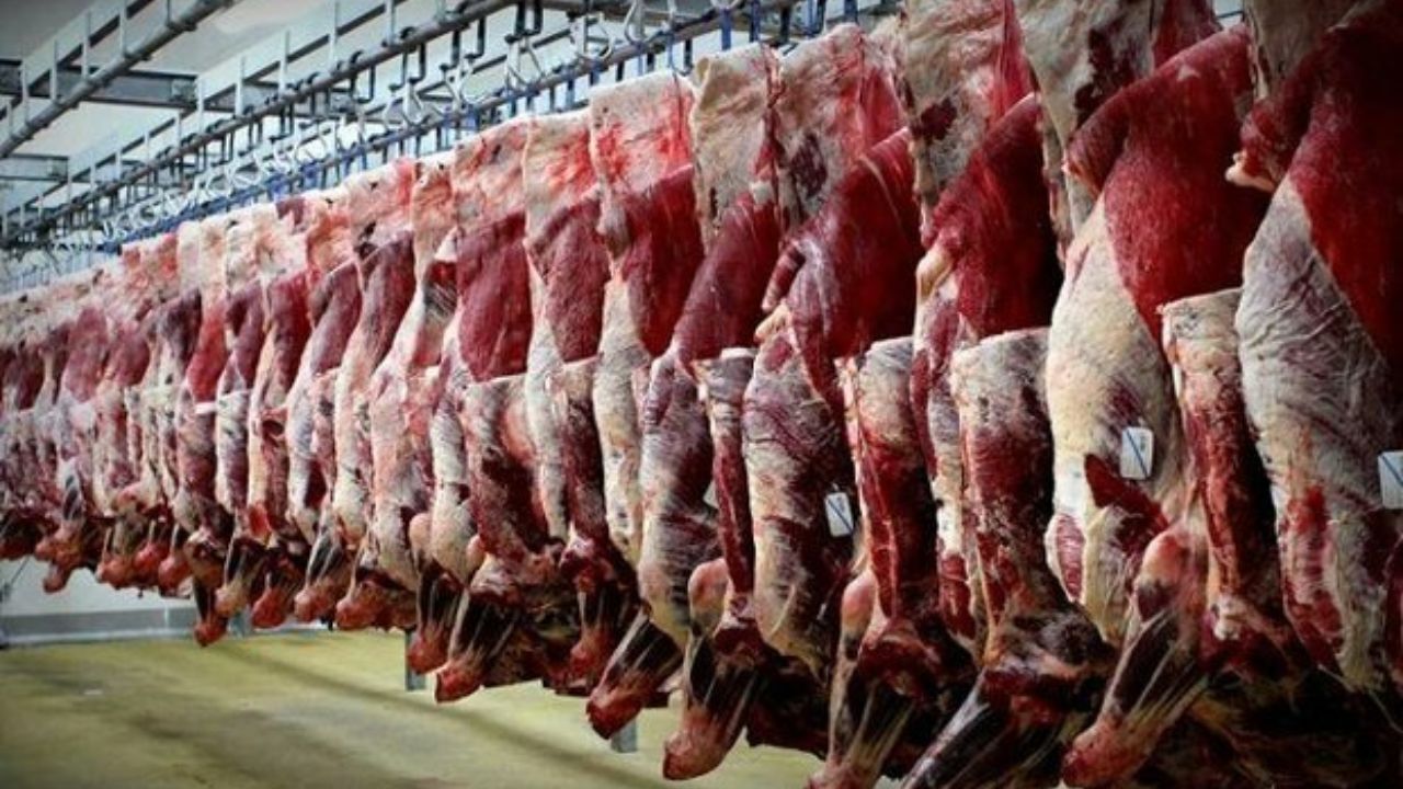 آلودگی گوشت‌ها به کرونا تکذیب شد