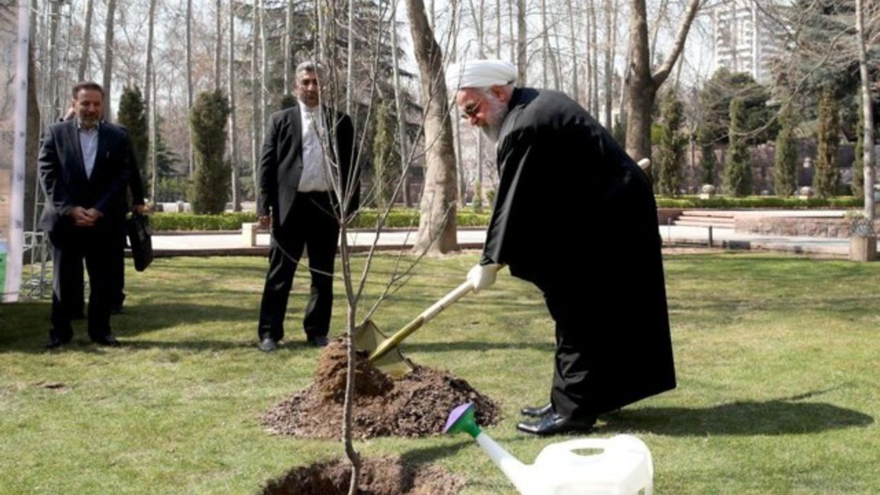 رئیس جمهوری یک اصله نهال غرس کرد