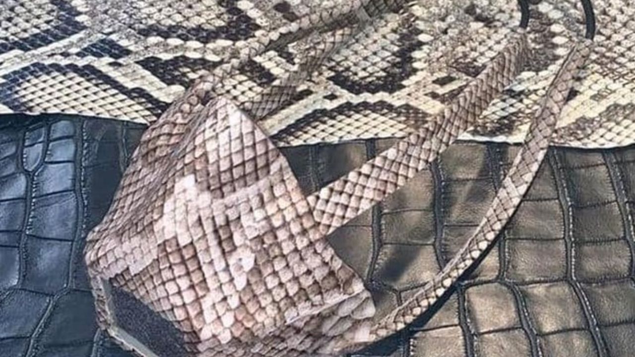 ماسک ضد ویروس کرونا با پوست خزندگان هم وارد بازار شد