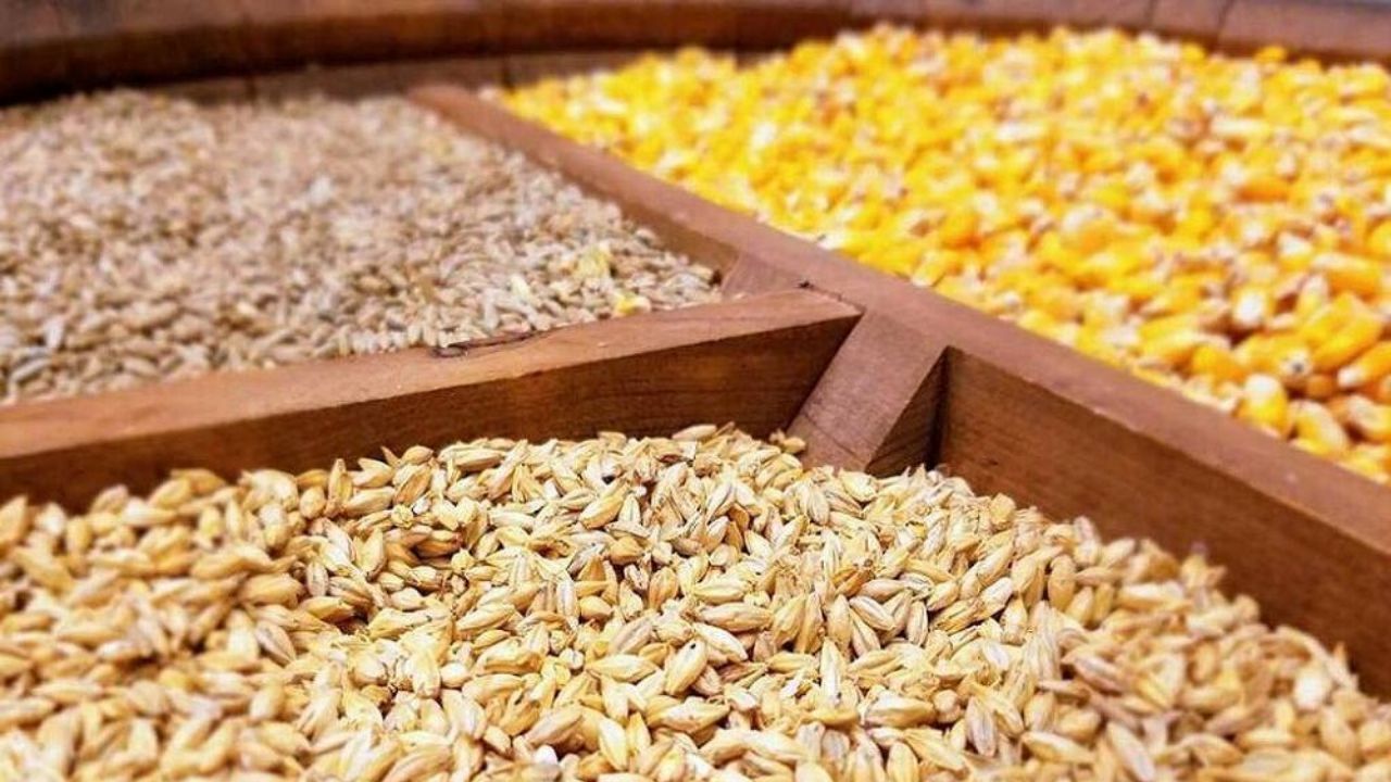واردات نهاده های دام و طیور رشد 16 درصدی را تجربه کرد