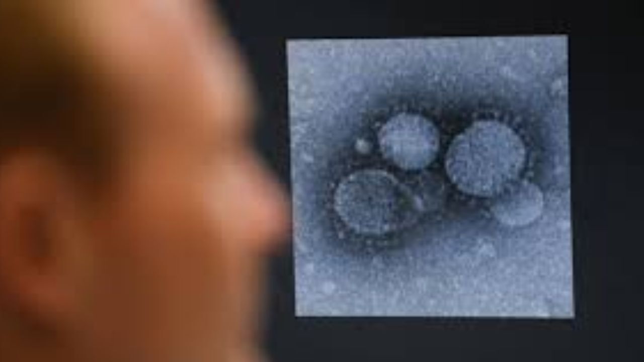 بهبودیافتگان کرونا دیگر مبتلا نخواهند شد