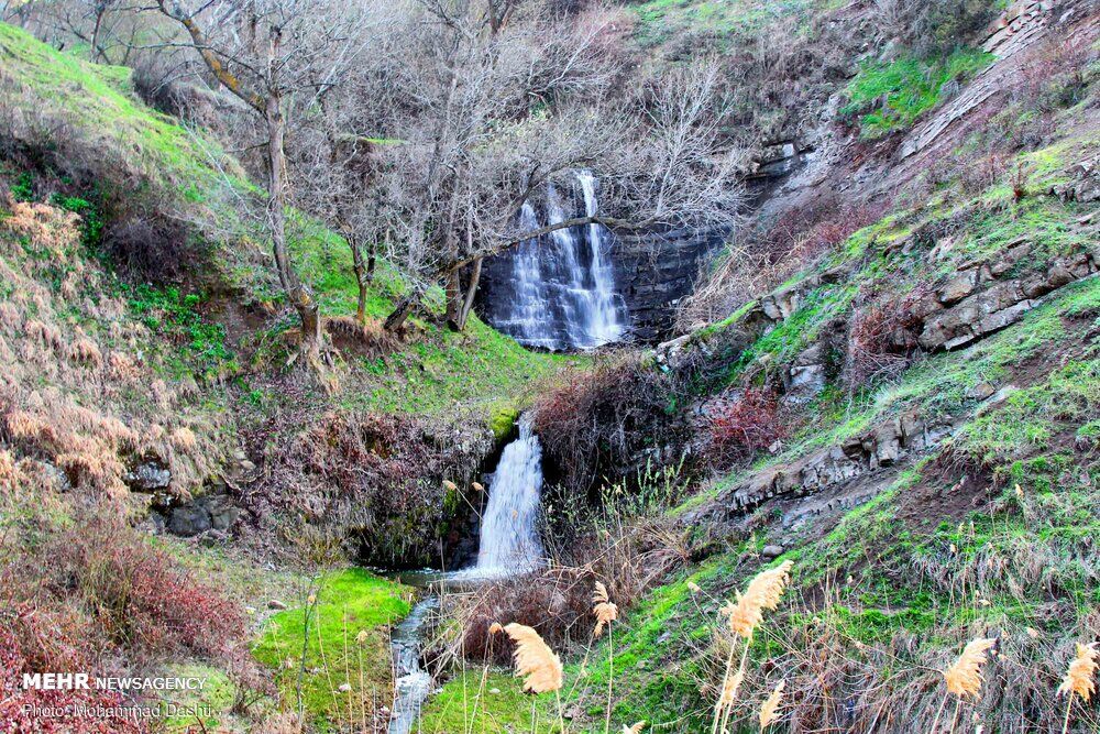 طبیعت دشت مغان