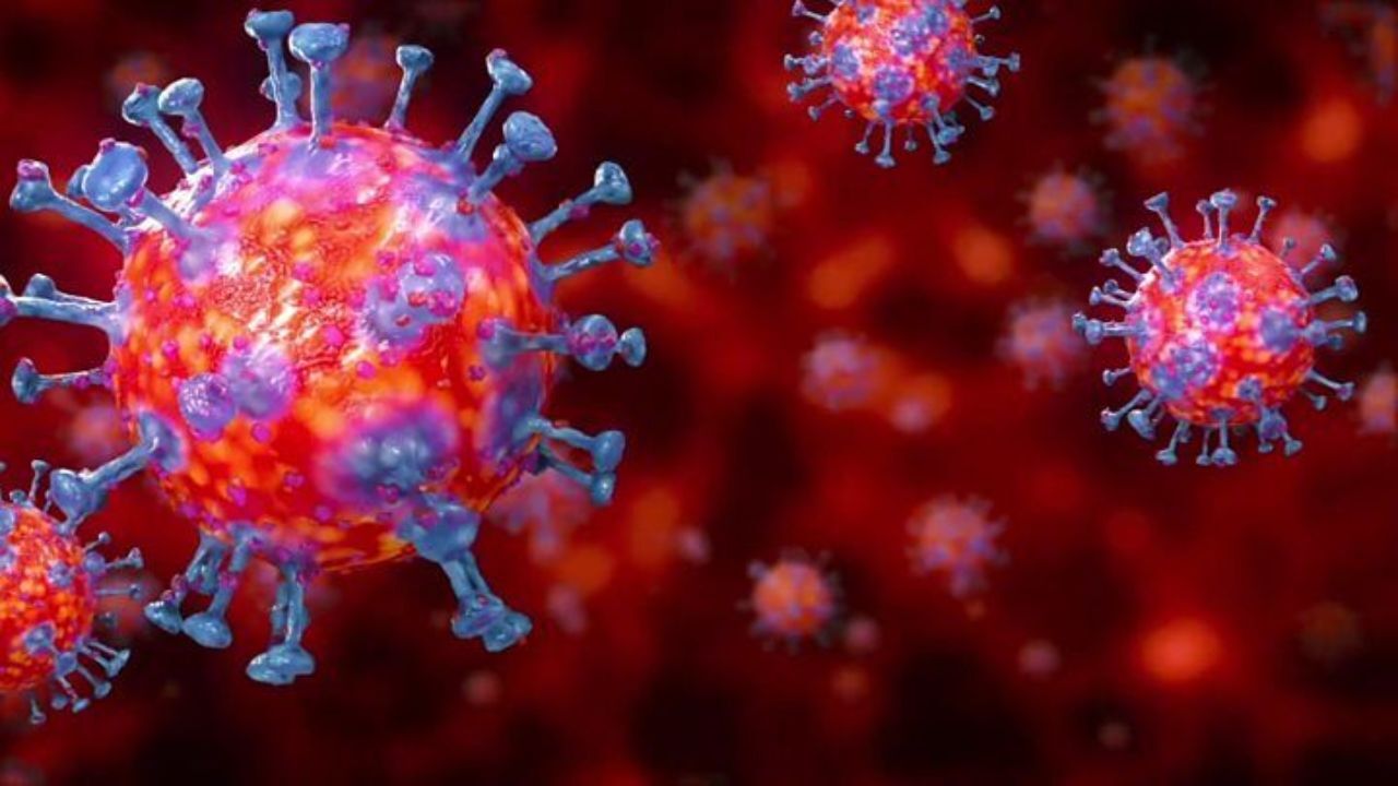 تعداد مبتلایان به کرونا در جهان از 5 میلیون نفر گذشت