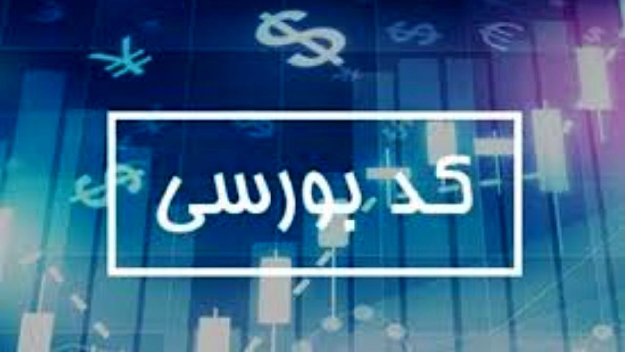 4 میلیون کد بورسی در کمتر از 4 ماه صادر شد