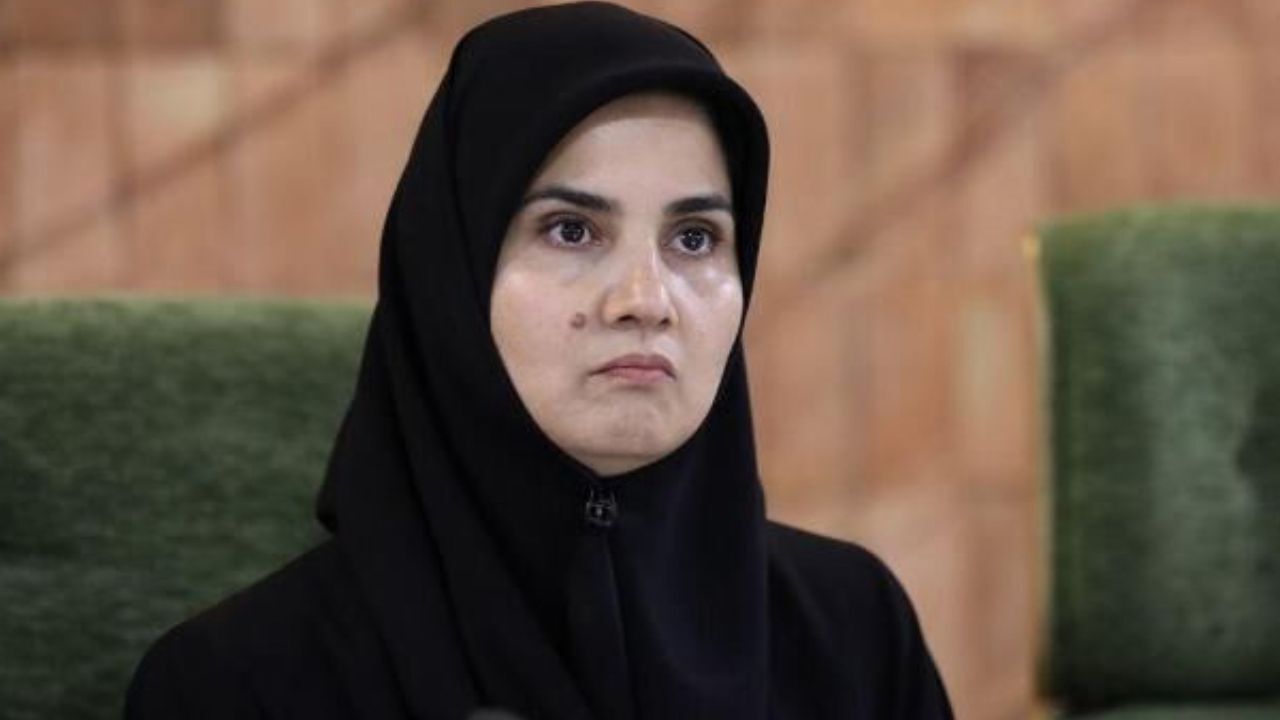 مزاحمت برای هواپیمای مسافربری در کشور ثالث، نقض امنیت هوانوردی است/ پیگیری حقوقی انجام می‌شود؟