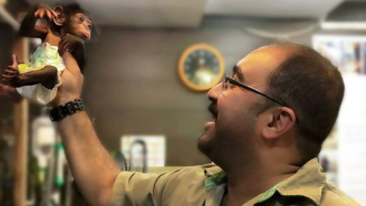 مرگ در یک قدمی شامپانزه ایرانی/ باغ وحش ارم اجازه خروج «باران» را می‌دهد؟