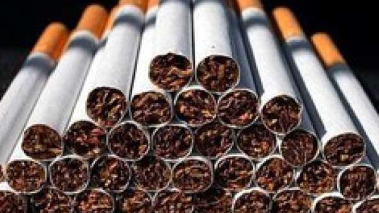 استفاده از فضولات حیوانی در محصولات دخانی قاچاق