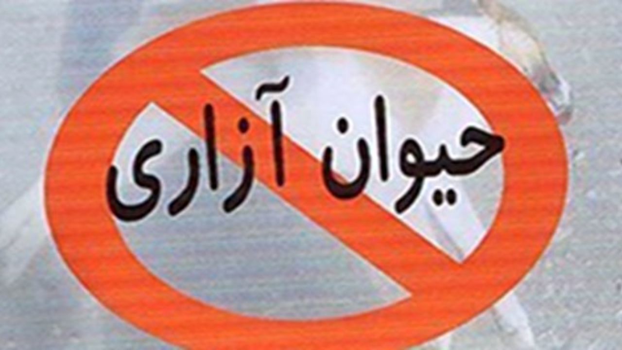 طرح منع حیوان آزاری در مجلس تصویب می‌شود؟