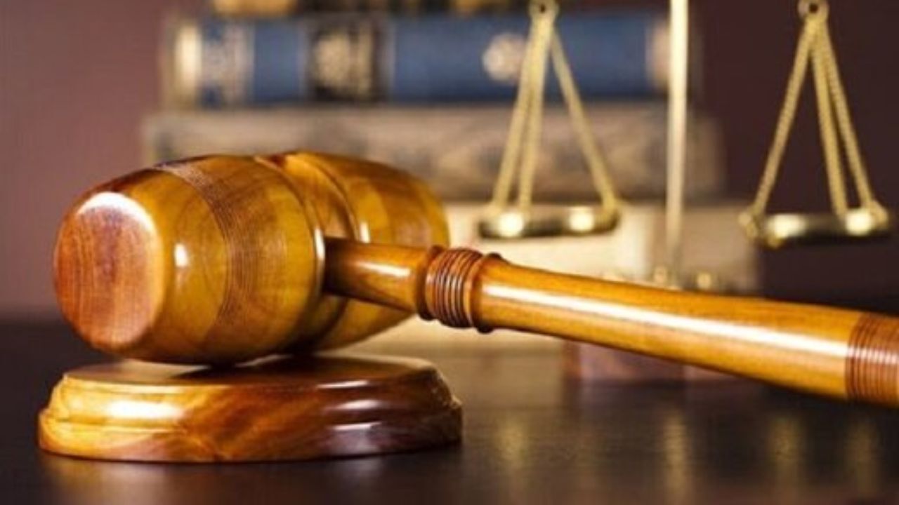 درختانی که به دلیل اختلاف دو برادر قربانی شدند