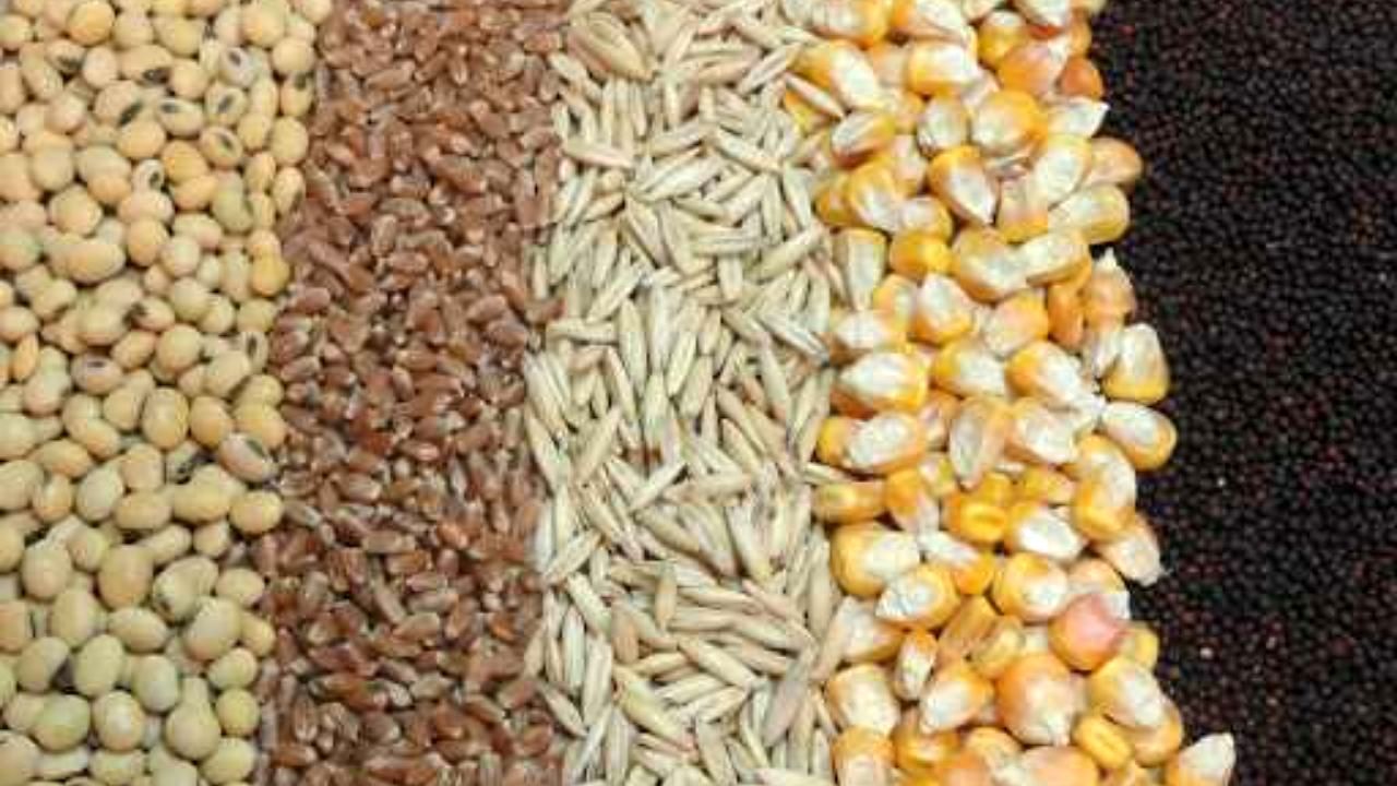 وزارت صمت به هشدارها درباره تامین نهاده توجه نکرد