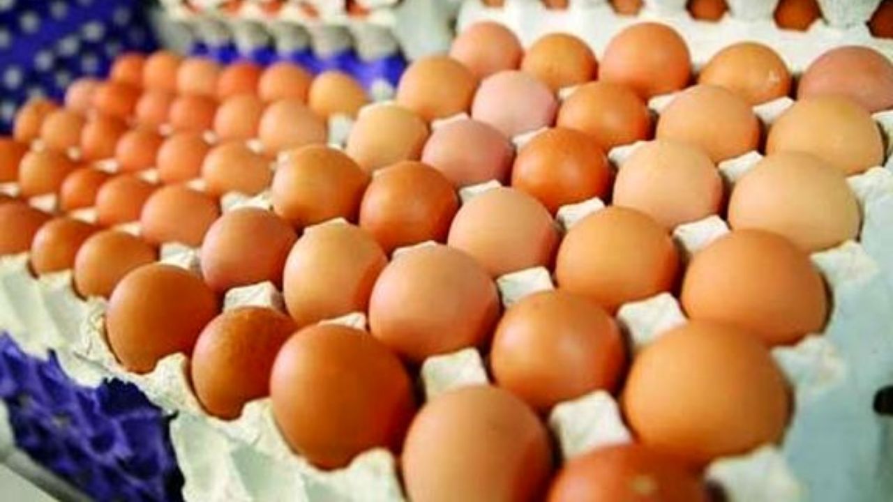 تخم مرغ شانه‌ای 40 هزار تومان!/ نوبت گرانی به تخم مرغ رسید