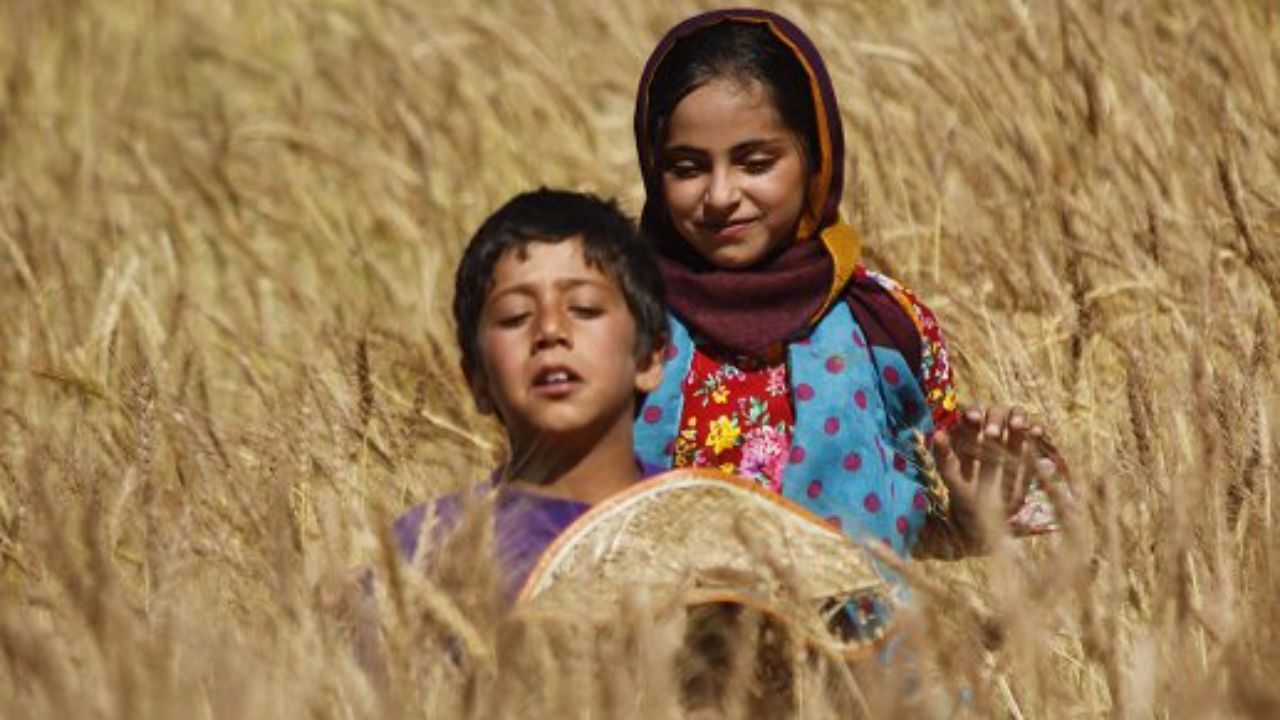 مستند ایرانی برگزیده جشنواره المپیای یونان شد