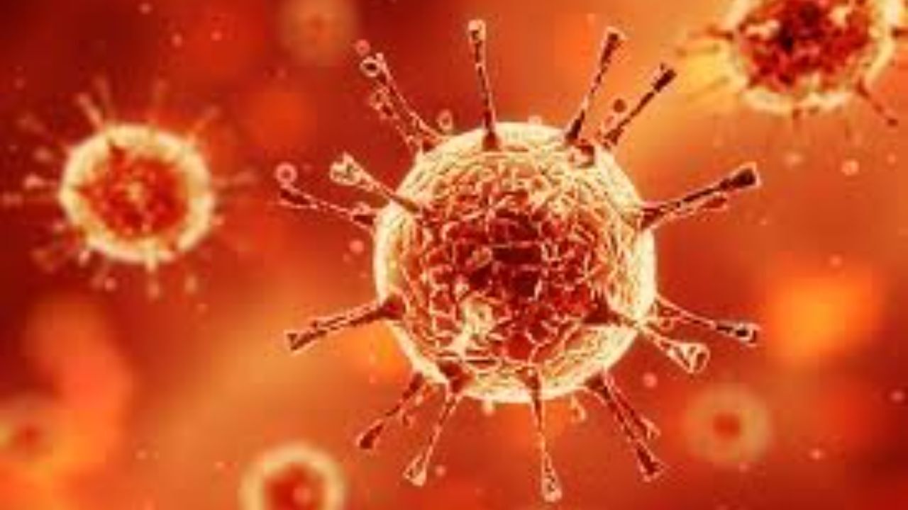بیش از یک سوم جمعیت جهان بدون هیچ حمایت مالی در بحران کرونا گرفتار شده اند