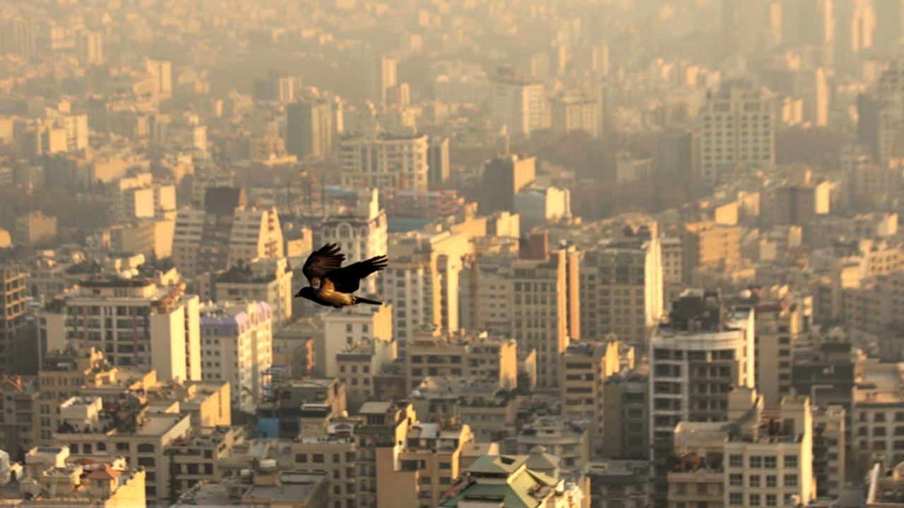 مردم تهران از تردد غیرضروری در شهر پرهیز کنند