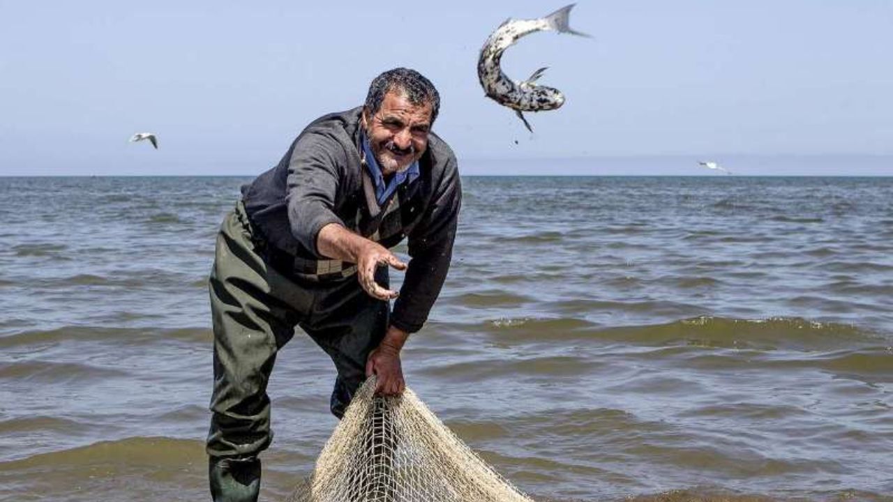 صید ماهیان استخوانی از خزر 23 درصد کاهش داشته است