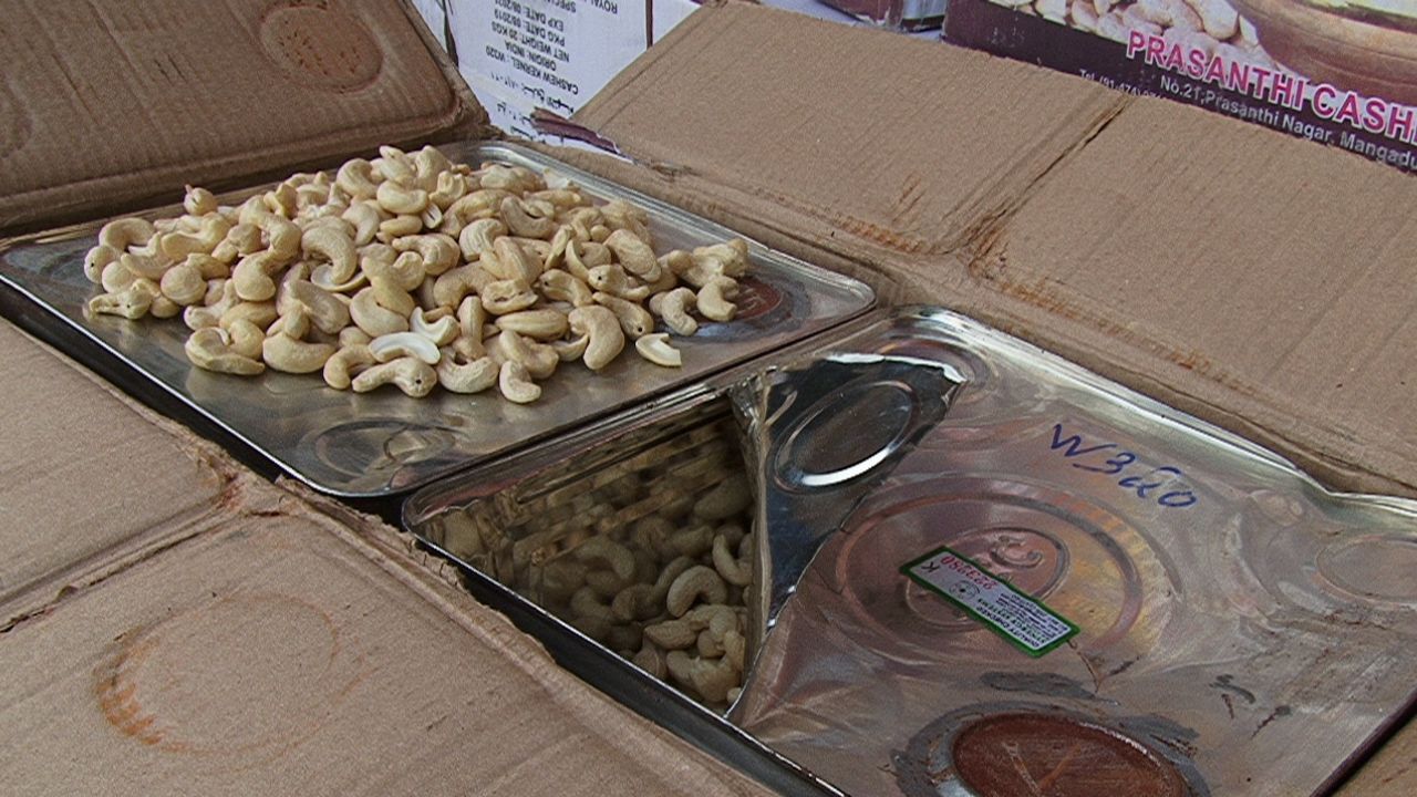 سالانه 15 تا 20 هزار تن بادام هندی قاچاق وارد کشور می‌شود/ تولید بادام زمینی با ویلاسازی کم شده است
