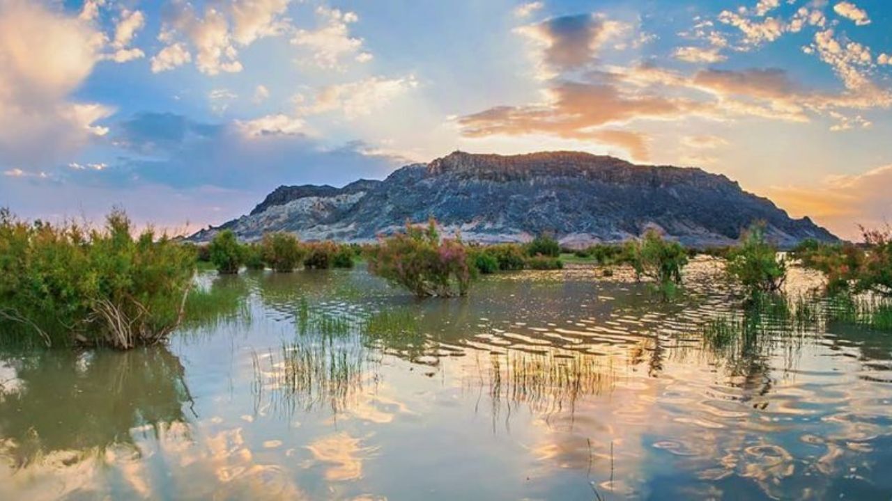 آیا اعتبار 10 میلیون یورویی هامون را نجات می‌دهد؟