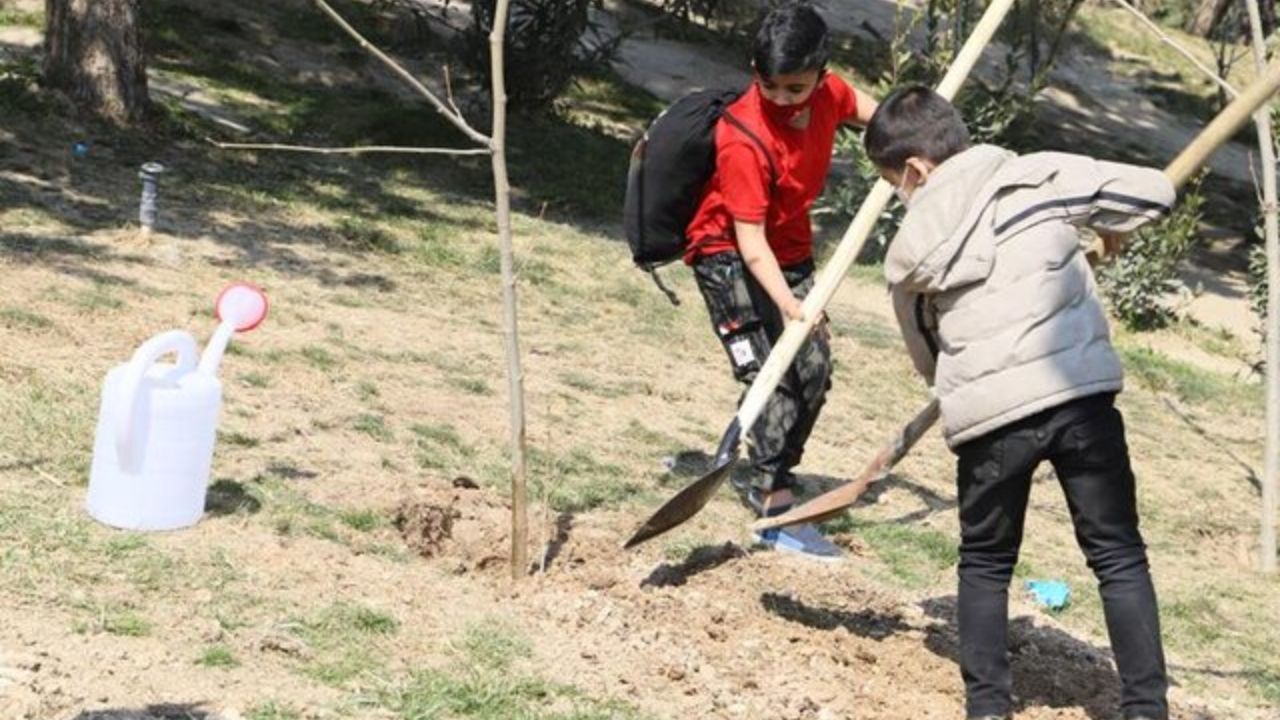 کاشت 80 نهال توسط کودکان کار و خیابان در پارک طالقانی