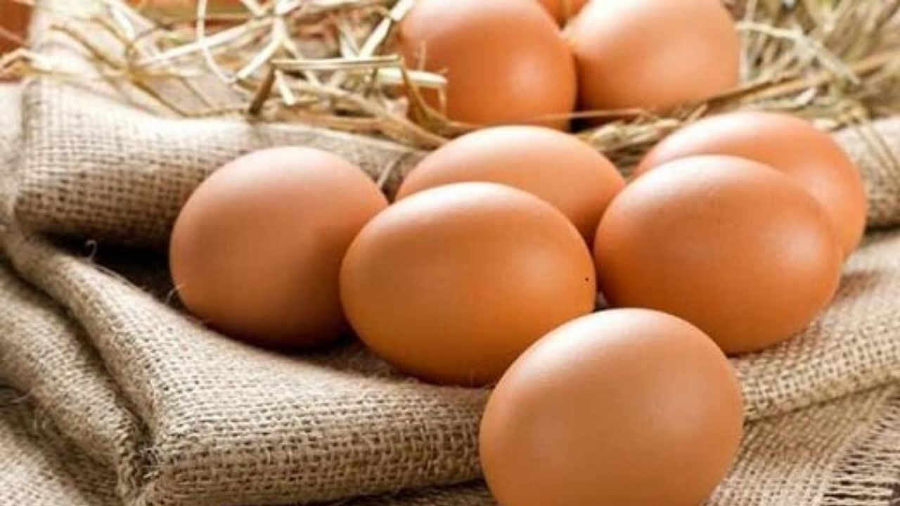 قیمت تخم مرغ در بازار کاهش یافت