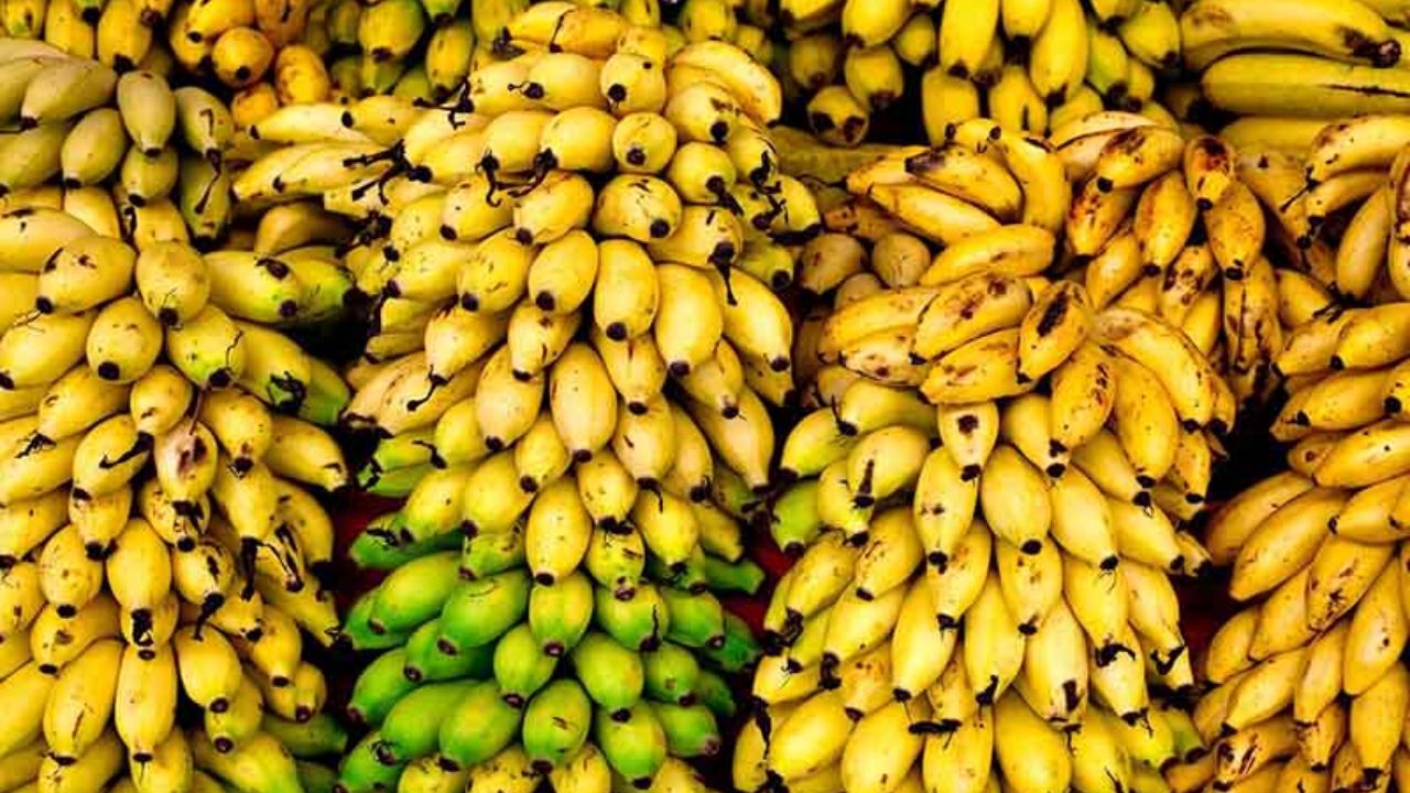 ممنوعیت واردات موز، نرخ مجوز را به 200 میلیون تومان رساند