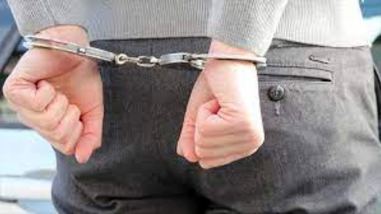 یک کلاهبردار میلیاردی به کشور ️استرداد شد