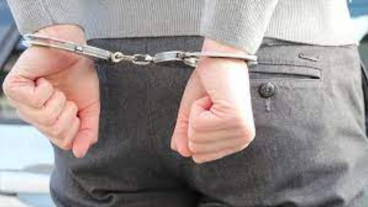 یک کلاهبردار میلیاردی به کشور ️استرداد شد