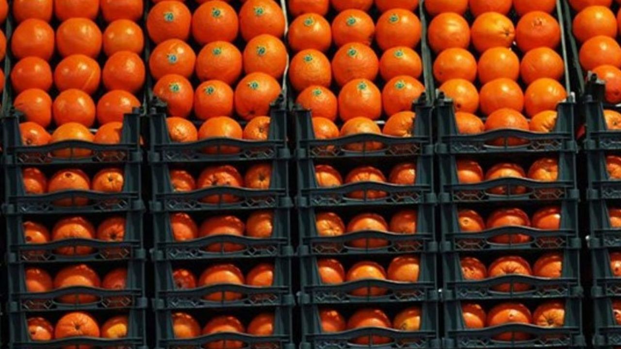 مرکبات برای نوروز 1400 در سراسر کشور توزیع می شود