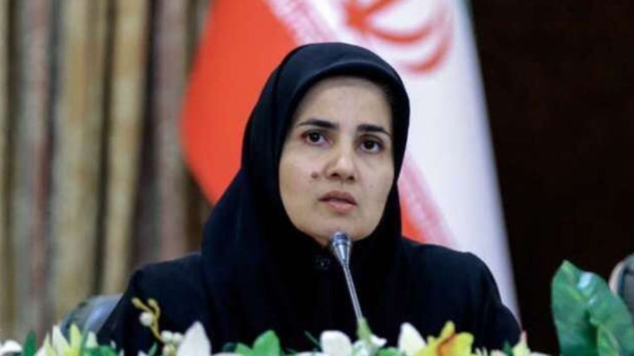 دستگاه‌های اجرایی به فکر علاج کسب و کار مجازی باشند نه تعطیلی آن‌ها