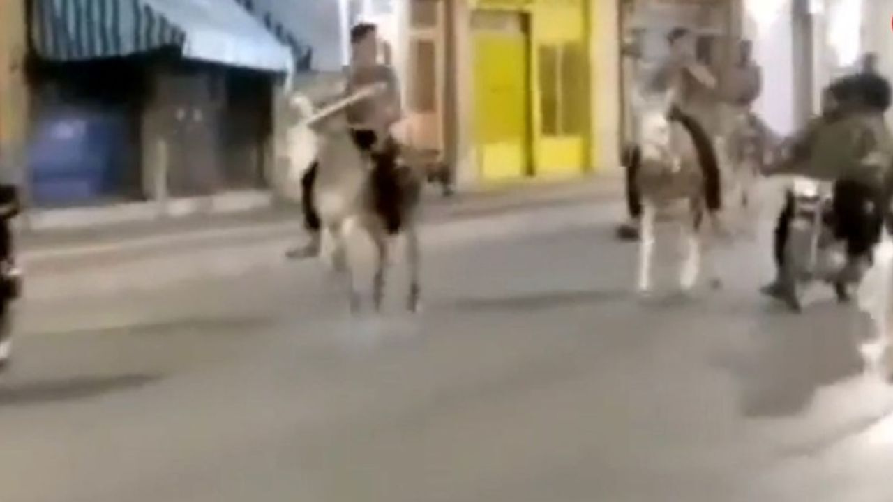 دادستانی بیش از 11 نفر را به علت الاغ‌سواری بازداشت کرد