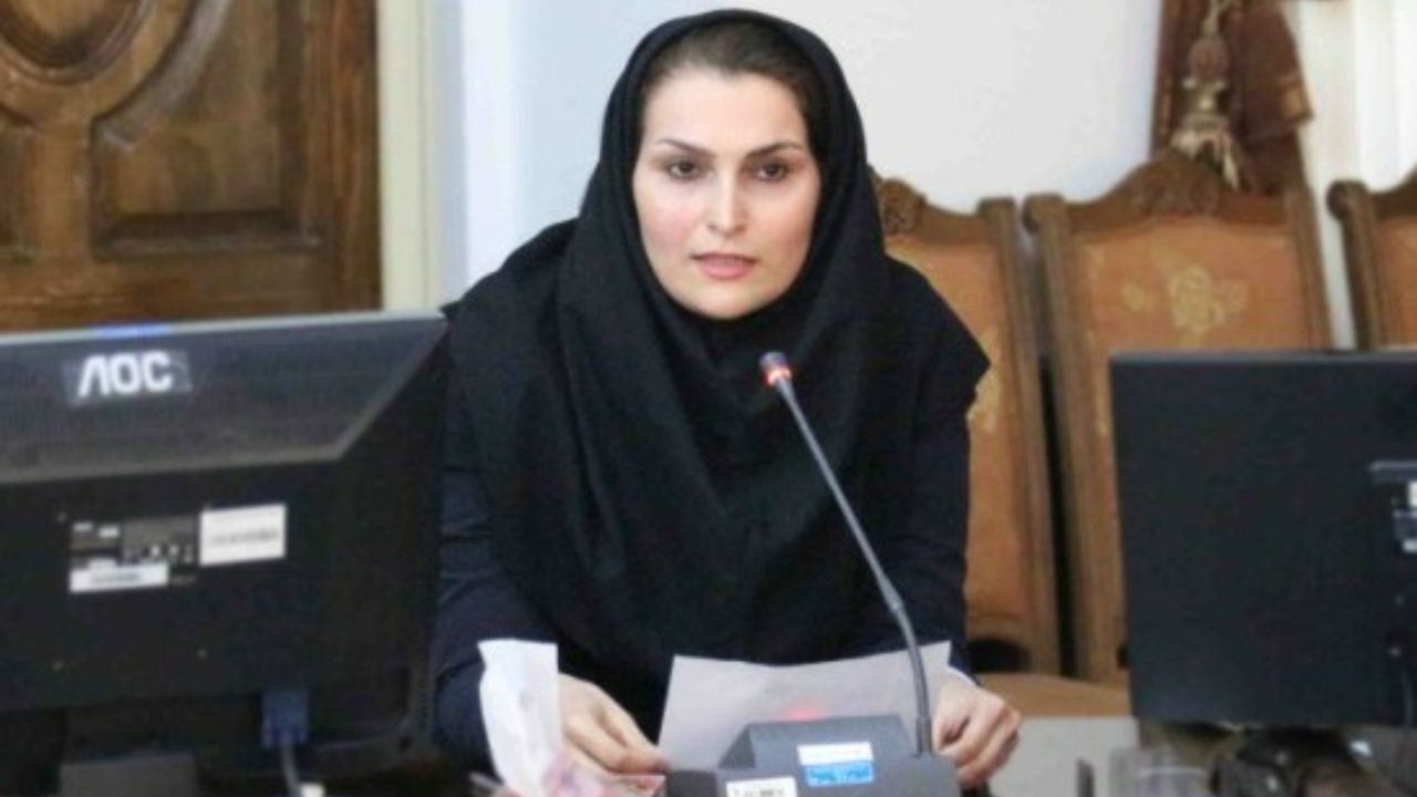 با دوره‌های dba و mba جنبه‌ی بیزنسی به هنر می‌دهیم/ دانشگاه‌ها دانش‌محور هستند، نه مهارت‌محور