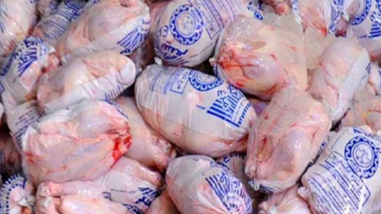 فعلا برای افزایش توزیع مرغ منجمد، محدودیت‌هایی وجود دارد