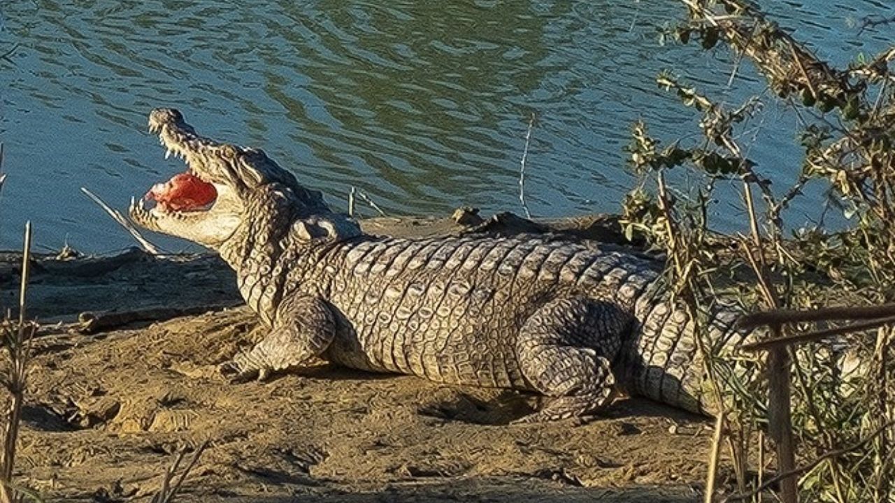 کودکانی که در سیستان و بلوچستان به خاطر نبود آب آشامیدنی قربانی شدند