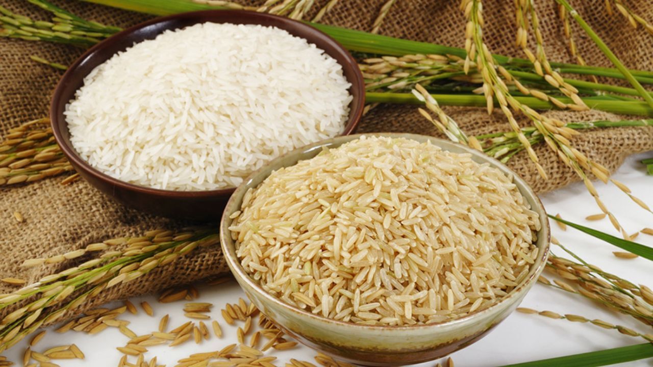 توزیع 3200 تن بذر گواهی شده برنج در سال جاری
