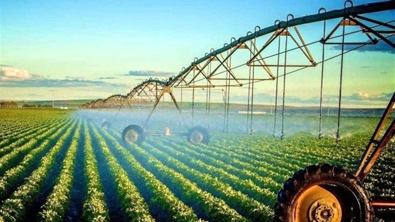 3200 تن بذر گواهی شده برنج بین کشاورزان توزیع شد