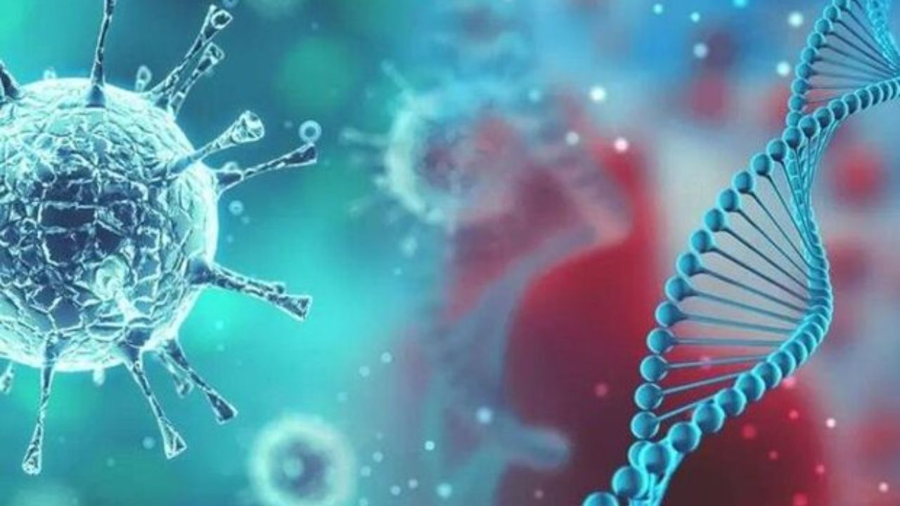 ویروس کرونای انگلیس در هرمزگان غالب شده است
