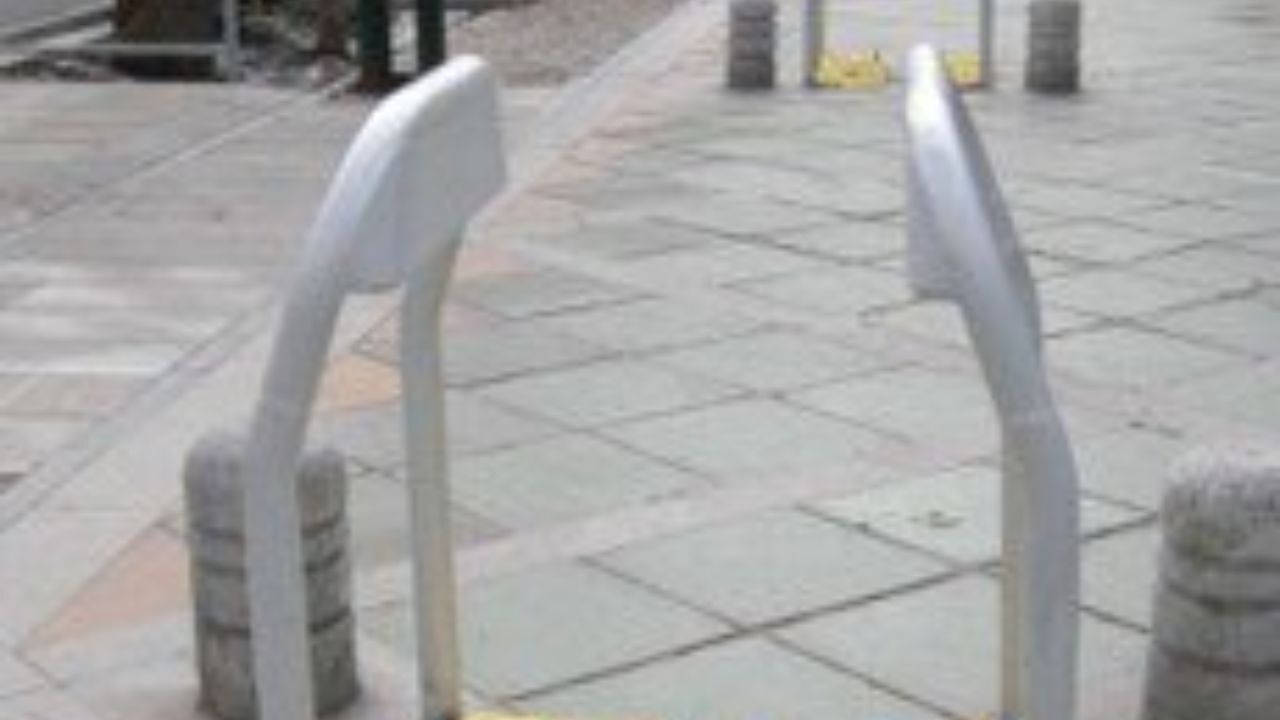 نقش اعضای شورای شهر در مناسب سازی معابر/ مناسب سازی حدود 100 بوستان از 1200 بوستان تهران