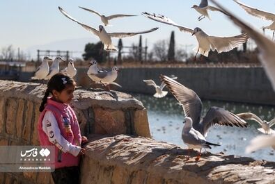 شیرازگردی مهمانان روسی