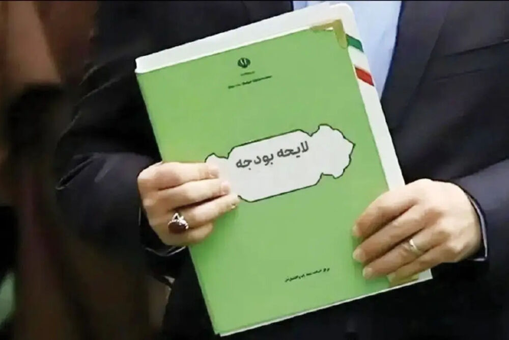 انتقاد به عدم حضور جوانان در بودجه‌ریزی / در بازی بودجه جوانان بازیکن نیستند؛ تماشاچی‌اند