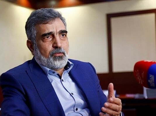 کمالوندی: در حال حاضر بازرسی نداریم/ بازرسی‌های اخیر آژانس با اجازه شورای عالی امنیت ملی بوده است