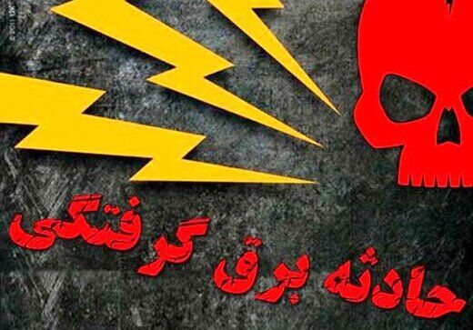 برق، جان سارق کابل را گرفت