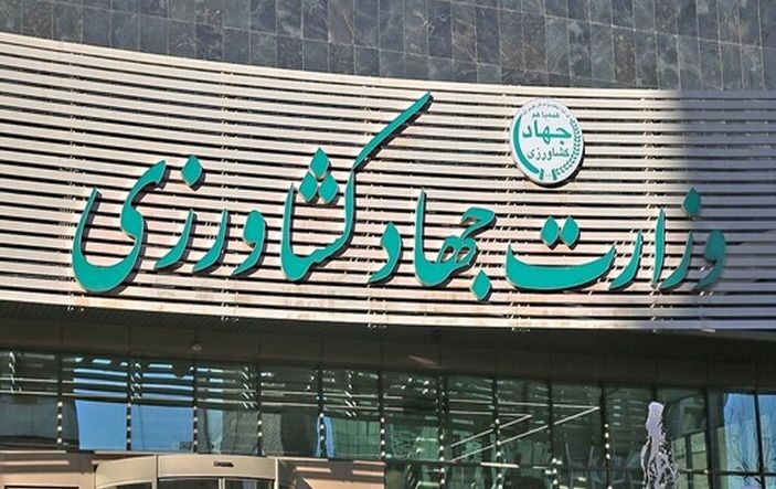 باز هم وعده سر خرمن جهاد کشاورزی؛ پرداخت مطالبات گندمکاران دو هفته دیگر!