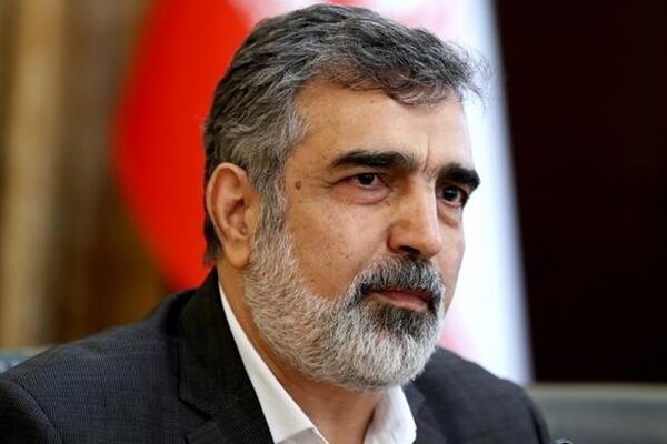 کمالوندی: ممانعت آمریکا از حضور ایران در نشست آژانس، مخرب و کودکانه است