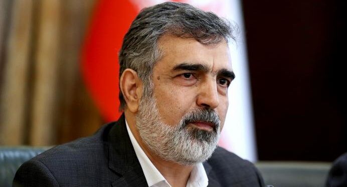 واکنش کمالوندی به ادعای رویترز: آژانس در جریان کامل اقدامات ایران در مجتمع نطنز است