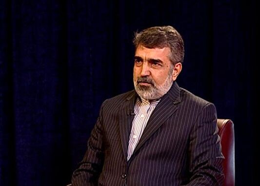 کمالوندی: صنعت هسته‌ای در کشور ما ریشه دارد و با حمله و فشار صدمه نمی‌بیند