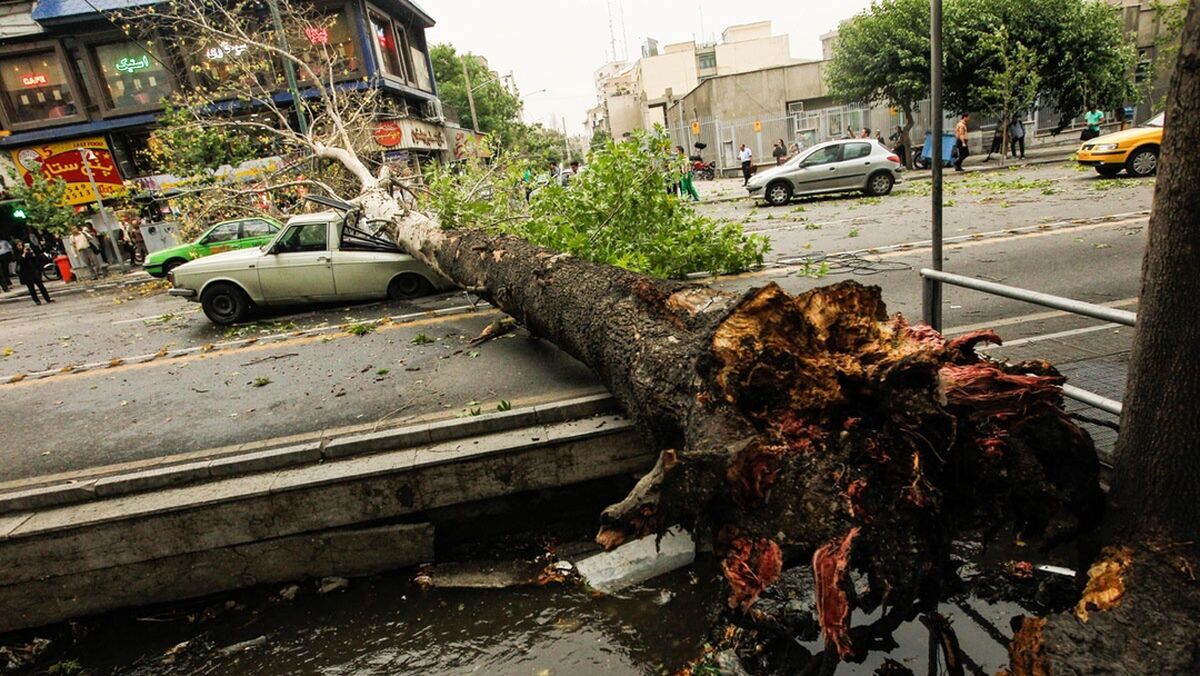 افزایش مصدومان حوادث جوی تهران به ۷ نفر