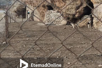 غارنشین‌ها جدید