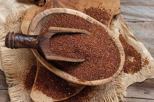 خاکشیر، نوشیدنی مخصوص ماه رمضان