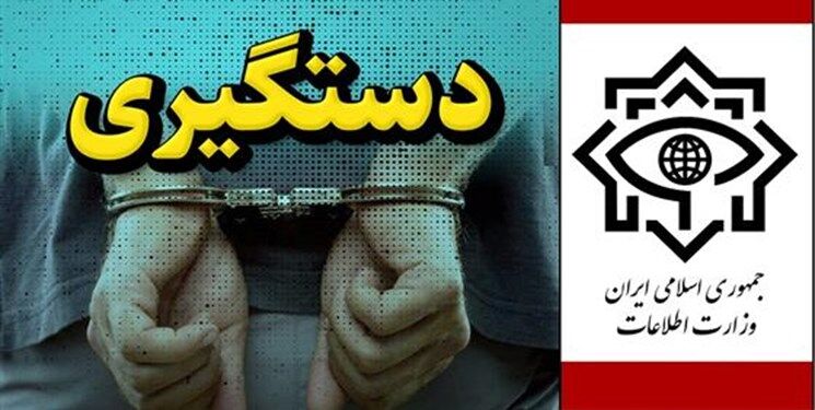 وزارت اطلاعات یک تبعه سوئدی را به اتهام جاسوسی بازداشت کرد